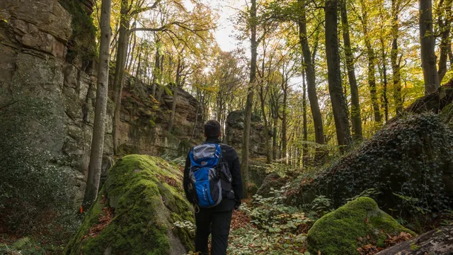Vandring i svensk natur enligt allemansrätten