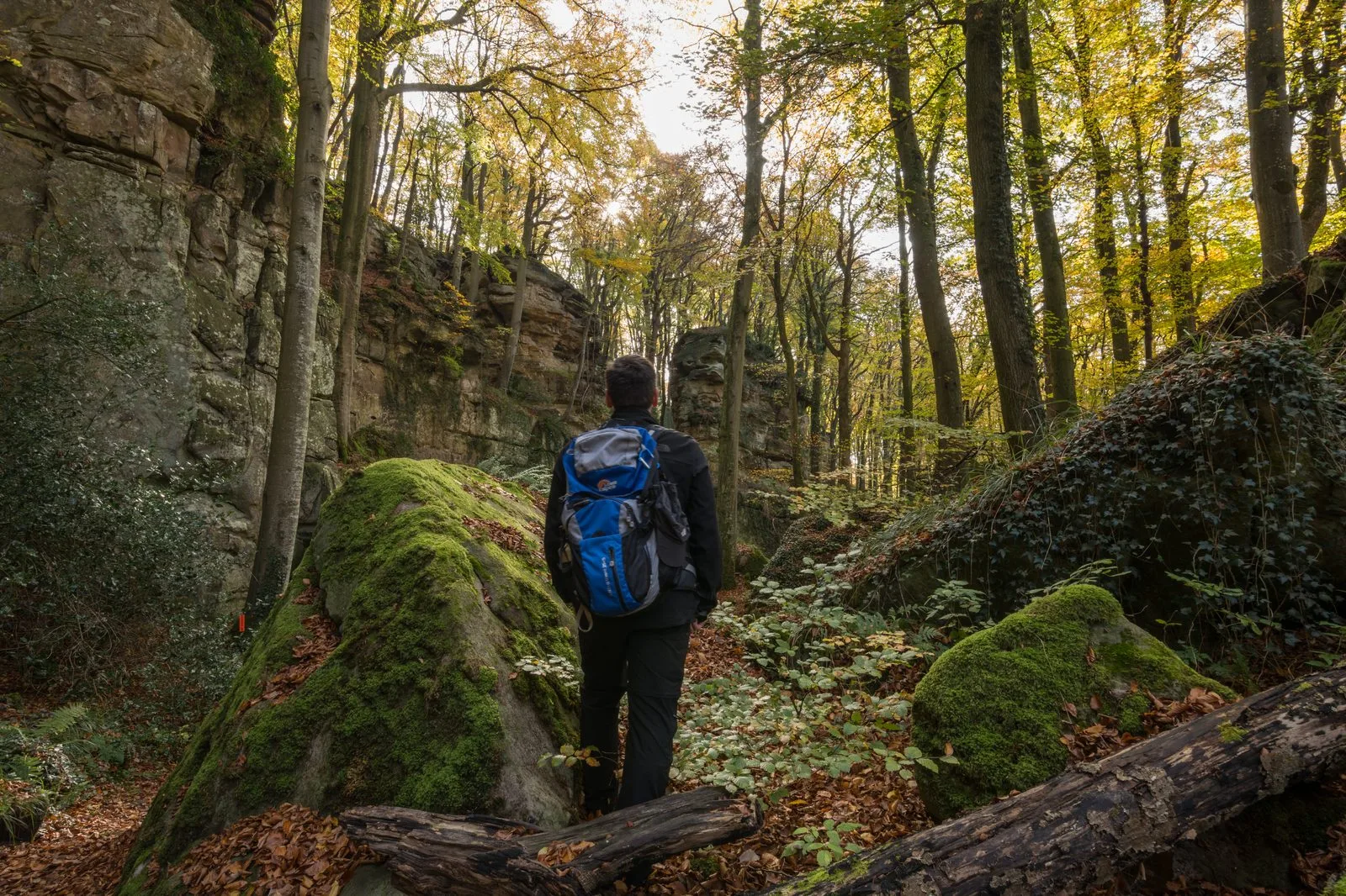 Vandring i svensk natur enligt allemansrätten