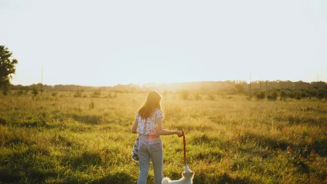 Hundägare på promenad med sin hund
