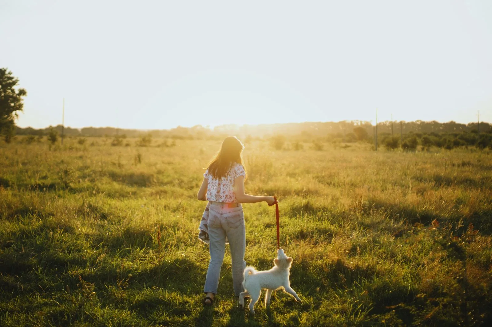 Hundägare på promenad med sin hund